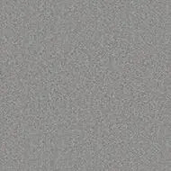 900230 argent