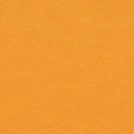 t3354 pumpkin yellow
