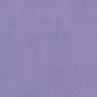 26537 lilac accent