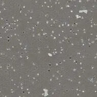 172632 coal
