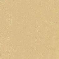 63726 venus