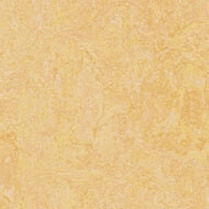 63846 natural corn