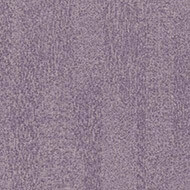 s482027 Penang orchid