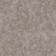 301009 Artist taupe AB