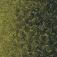 322012 Artist emerald / chartreuse B2