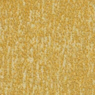 s445030 Canyon sulphur