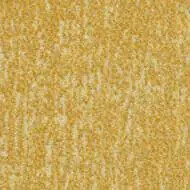 t545030 Canyon sulphur