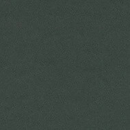 4174 conifer